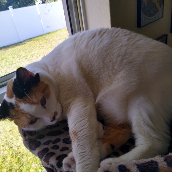 Meet your Posher, Darlene - Picture 11 of 16